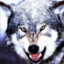 volk5016♥