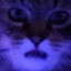 g1rlsl0v3mysw4g_