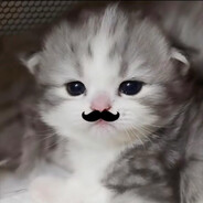 哈基米南北绿窦