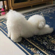 受过情伤的人才懂得珍