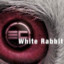 TTV/whitexrabbit4