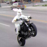 欲 善其身₋ه٥