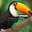 Strapped Toucan