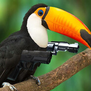 Strapped Toucan