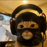 cullewie - steam id 76561198840638711