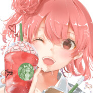 猫郡♡♡♡♡♡