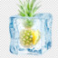 Icypineapple