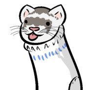 FerretSocks