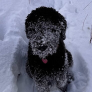 ment0 - steam id 76561199132308862