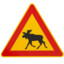 Elch