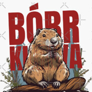 BOBER KURWA