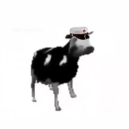 Danish Cow