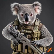 KOALA