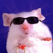 你自己就是老鼠