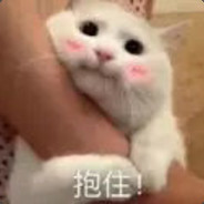 BLD.聪明可爱又伶俐