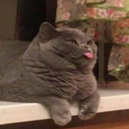 最喜欢你喜欢的可乐