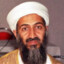 Osama Bin Lootin