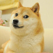 柔情猫娘撸出血