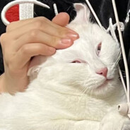 你怎么期待我打输出啊？？有点13数吧！！