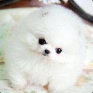 钓不到鱼就很忧伤