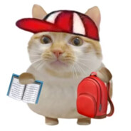 能力越小责任越小