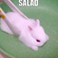 :3's avatar