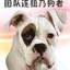 就爱起连狙