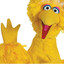 Big Bird