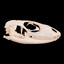 just a lizard skull