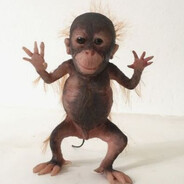 Побрей ракушку