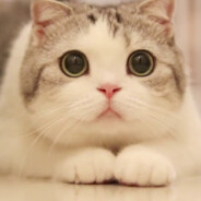 光速干拉且白给