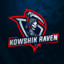 Kowshik_Raven_