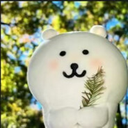 行那我就取十个字的吧