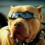 Балдеж DOG 2