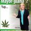 mayorjuana