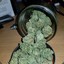 BigDaddy