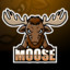 moose