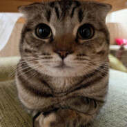 explosoes epicas 2.0