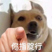 重生之洪城狂少