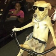 UvuvwevweOnyetyevweUgwenmeOass