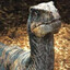 Velociraptor Echo