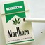 Marlboro