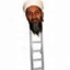 Osama Bin-Ladder