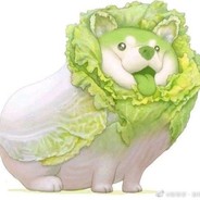 学习道具的小白