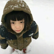 安上甲寄吧，只为挽回她