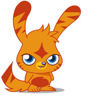 Player Avatar