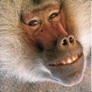 ULg::Europe - steam id 76561197964420211