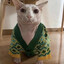 Я VP DIMOV's avatar