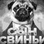 Фанат Яиц