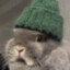 Stu